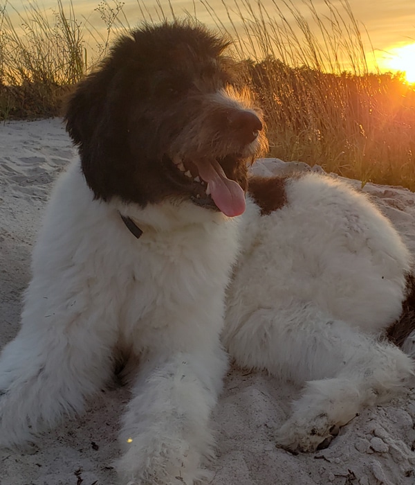 profile-rocko profile-rocko