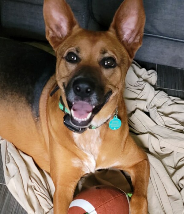 profile-scooby profile-scooby